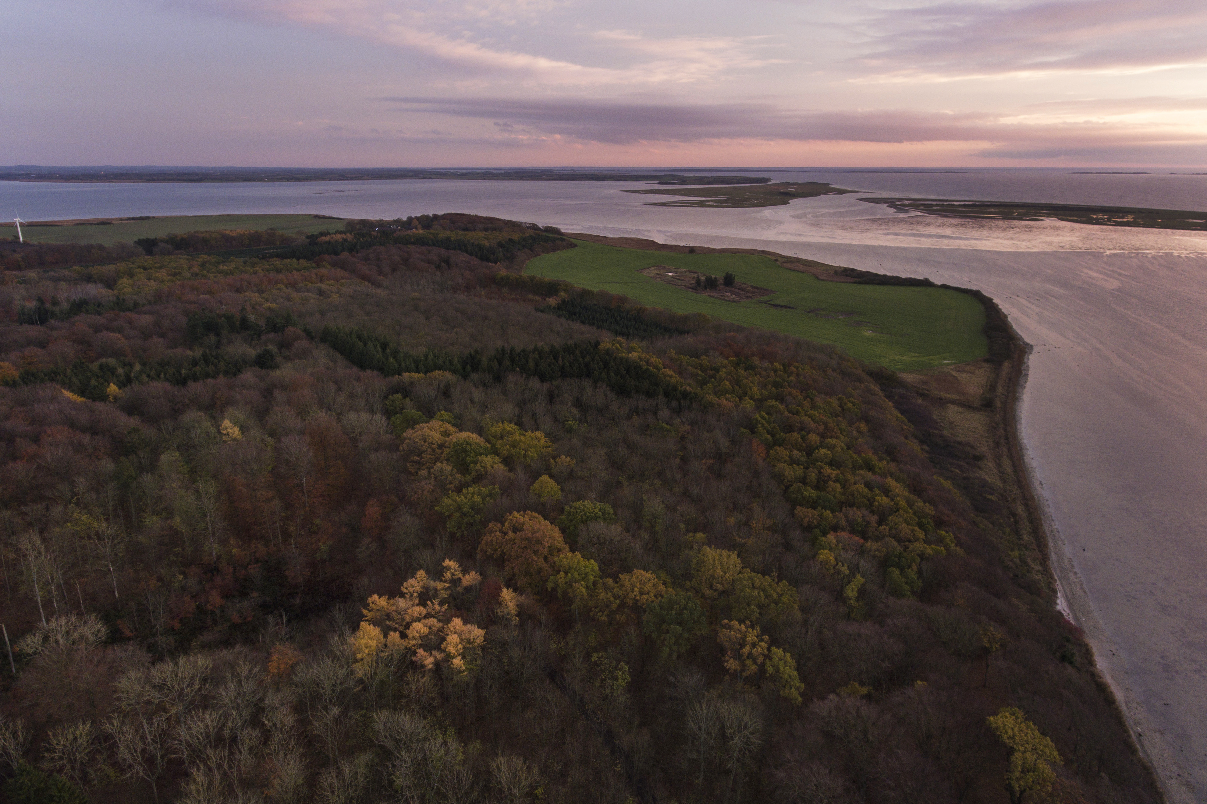 Udsigt over skov og vand, mens solen går ned og skaber et lyserødt skær i Næstved Kommune